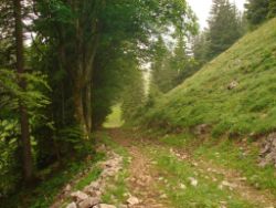 2013-06-22_Hirschhoerndl_Jochberg (325).JPG